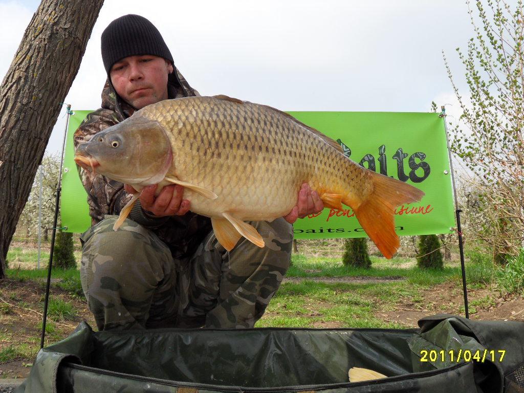 Nagykallo 2012 - rzv2012-151.JPG